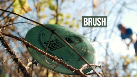 \"Brush\"